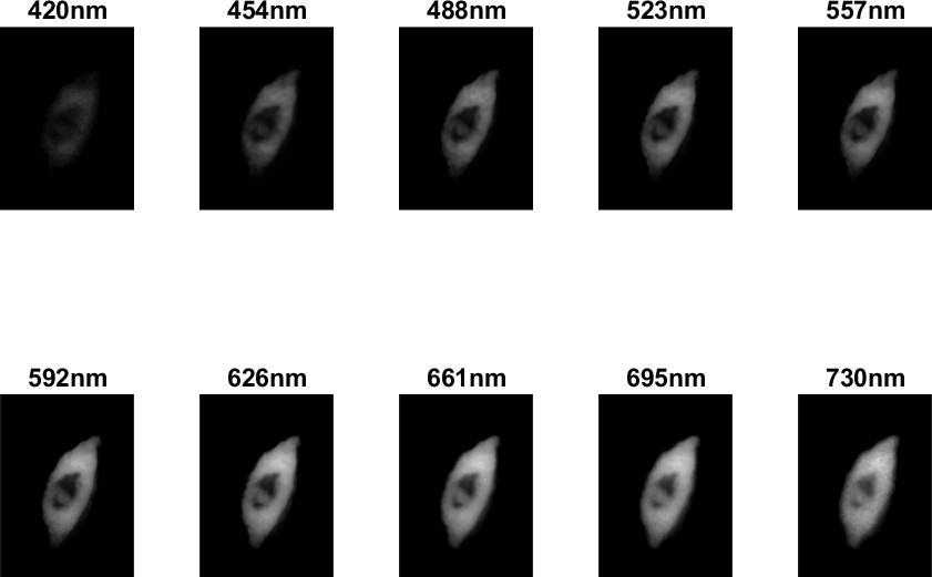 Example of Hyperspectral image